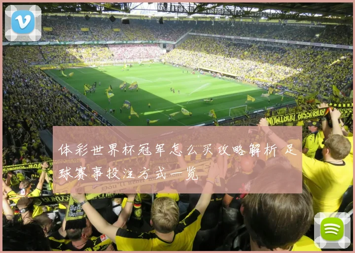 体彩世界杯冠军怎么买攻略解析 足球赛事投注方式一览