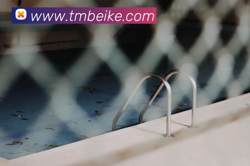 App Interface Preview